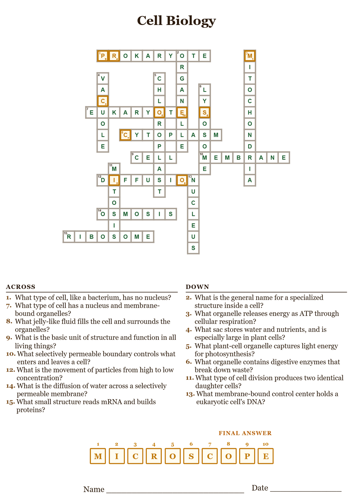 Cell biology crossword puzzle answer key, all answers filled in