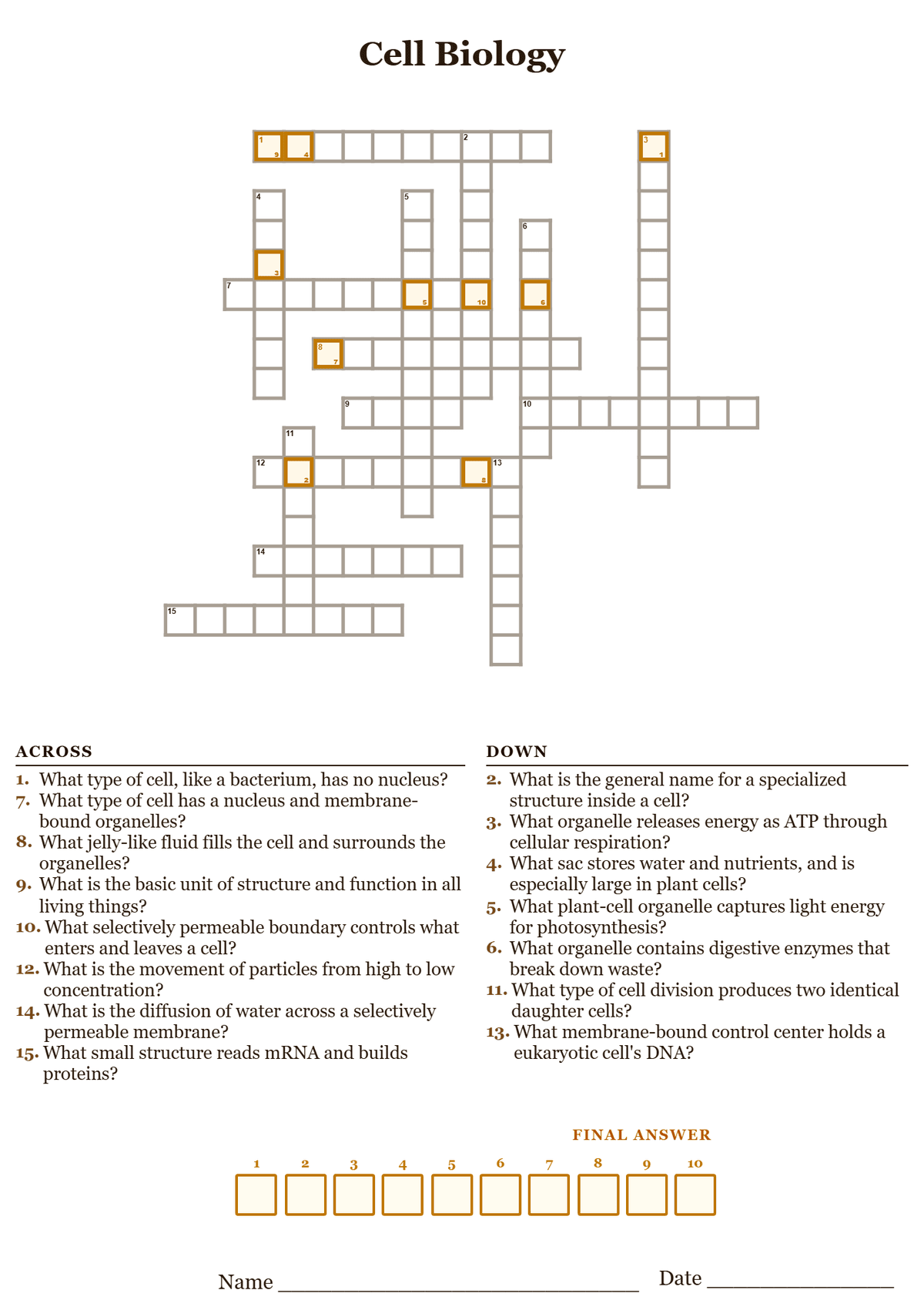 Printable cell biology crossword puzzle with clues about organelles, cell types, and transport